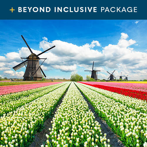 Tulip Season in Holland and Belgium